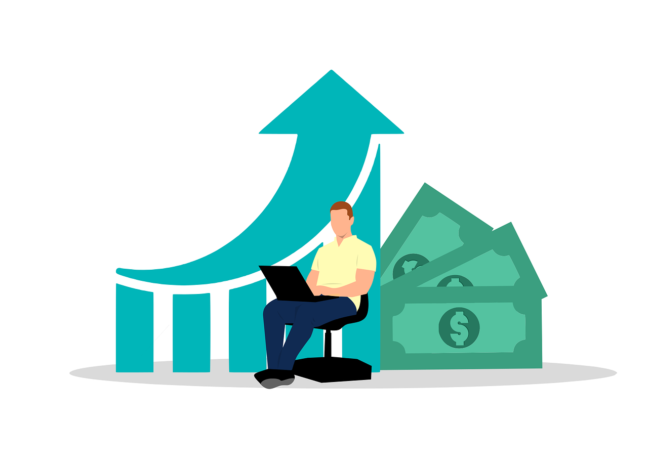 domain investment